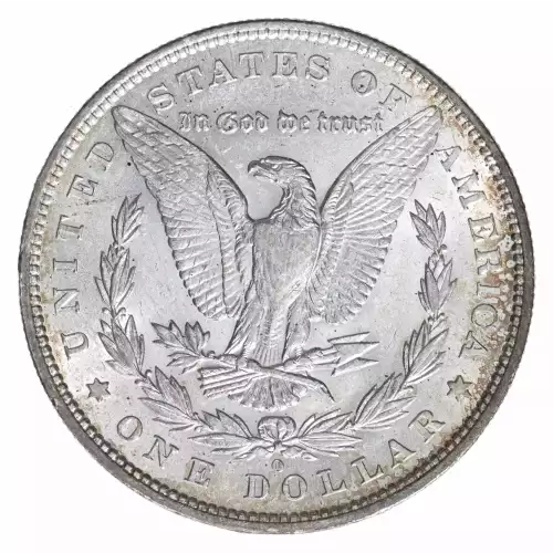 Morgan Silver Dollar (4)