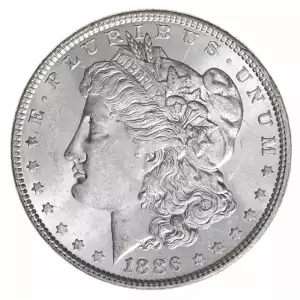 Morgan Silver Dollar