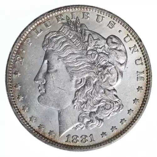 Morgan Silver Dollar