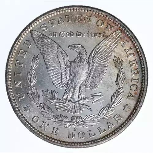 Morgan Silver Dollar (2)