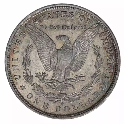 Morgan Silver Dollar (2)