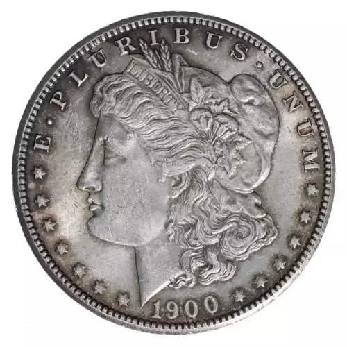 Morgan Silver Dollar