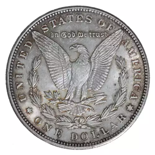 Morgan Silver Dollar