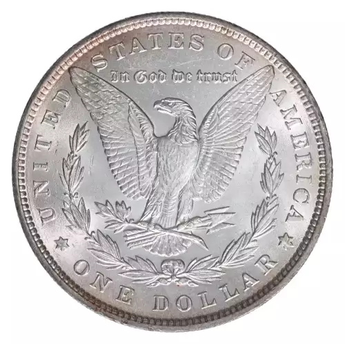 Morgan Silver Dollar (4)