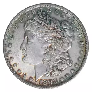 Morgan Silver Dollar (3)