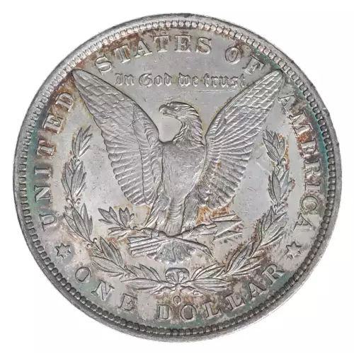 Morgan Silver Dollar (4)