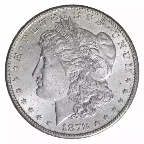 Morgan Silver Dollar (4)