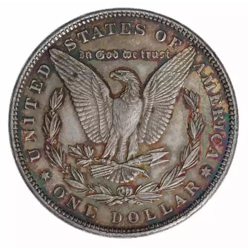 Morgan Silver Dollar (4)