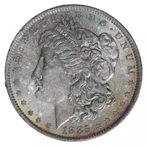 Morgan Silver Dollar (3)