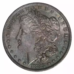 Morgan Silver Dollar (3)