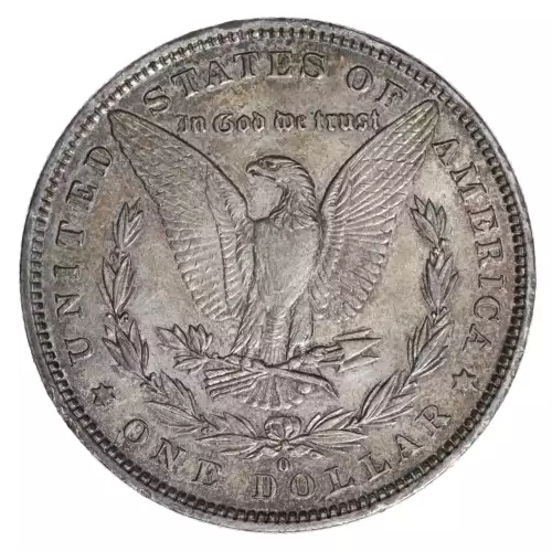 Morgan Silver Dollar (2)