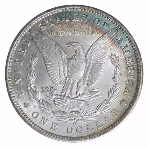 Morgan Silver Dollar (4)