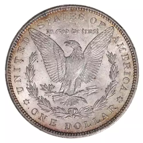 Morgan Silver Dollar (4)