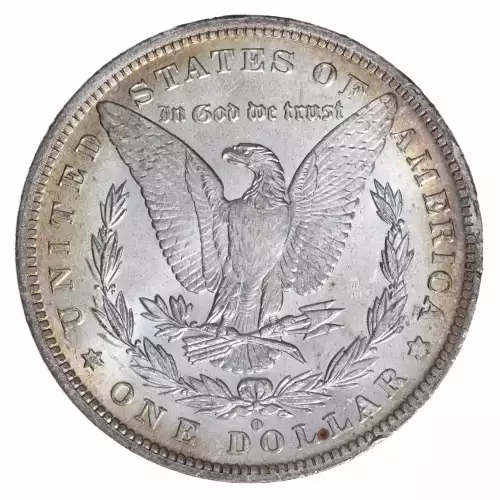 Morgan Silver Dollar (4)