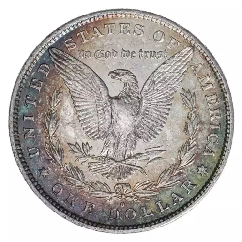 Morgan Silver Dollar (4)