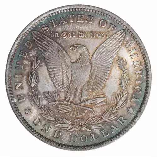 Morgan Silver Dollar (4)