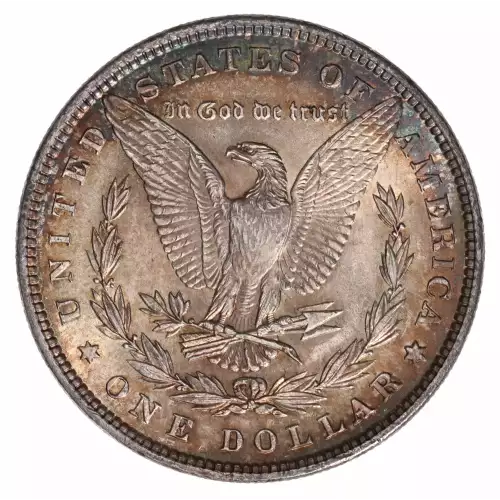 Morgan Silver Dollar (4)