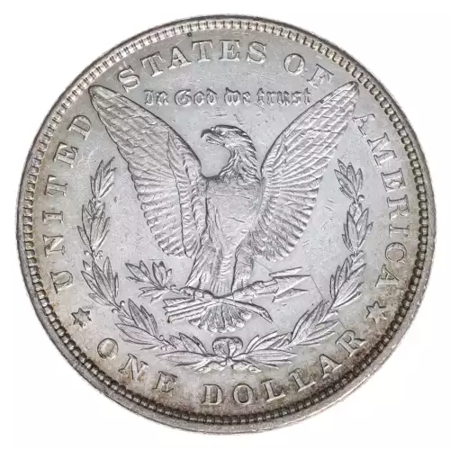 Morgan Silver Dollar