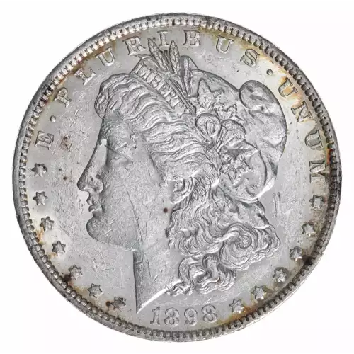 Morgan Silver Dollar (4)