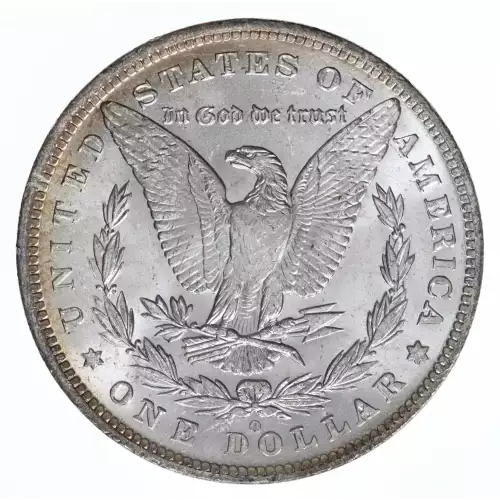 Morgan Silver Dollar (2)