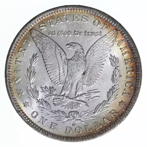 Morgan Silver Dollar (2)