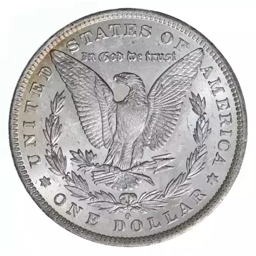 Morgan Silver Dollar (2)