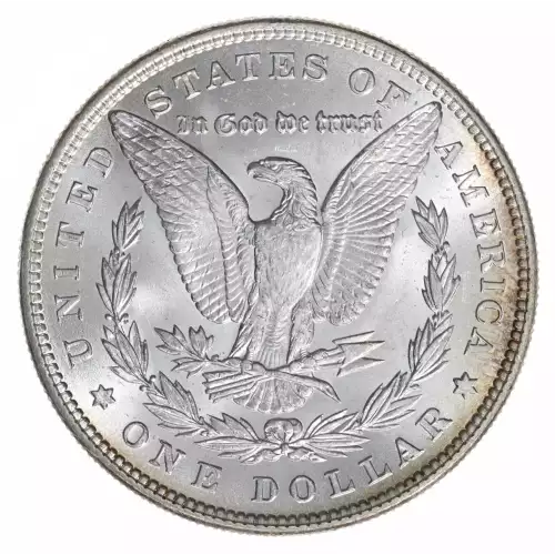 Morgan Silver Dollar (2)