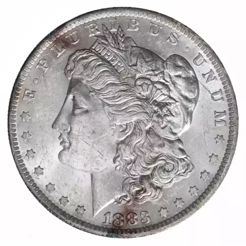 Morgan Silver Dollar