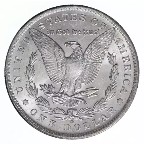 Morgan Silver Dollar (2)