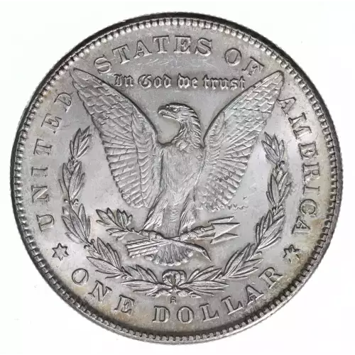 Morgan Silver Dollar (2)