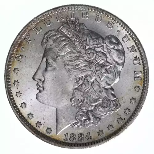 Morgan Silver Dollar (2)