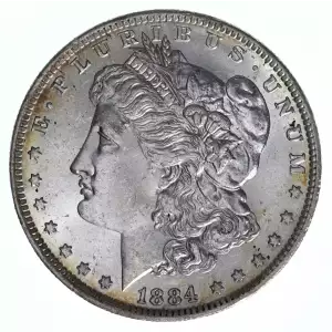 Morgan Silver Dollar (2)