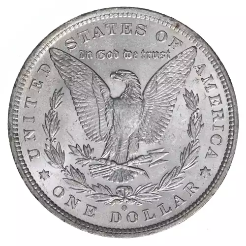 Morgan Silver Dollar (2)