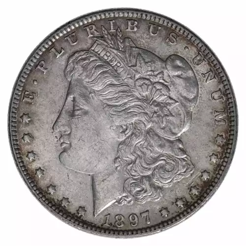 Morgan Silver Dollar