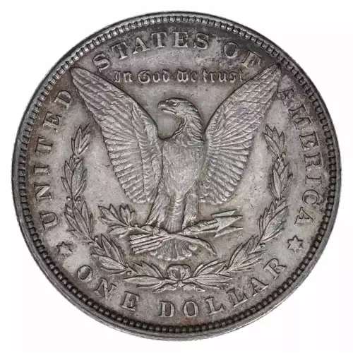 Morgan Silver Dollar (2)