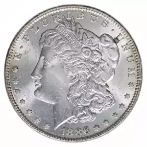 Morgan Silver Dollar