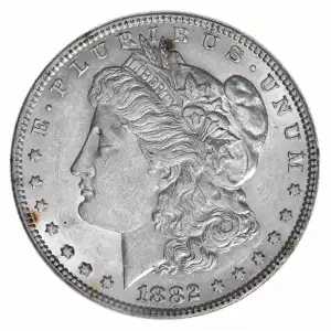 Morgan Silver Dollar