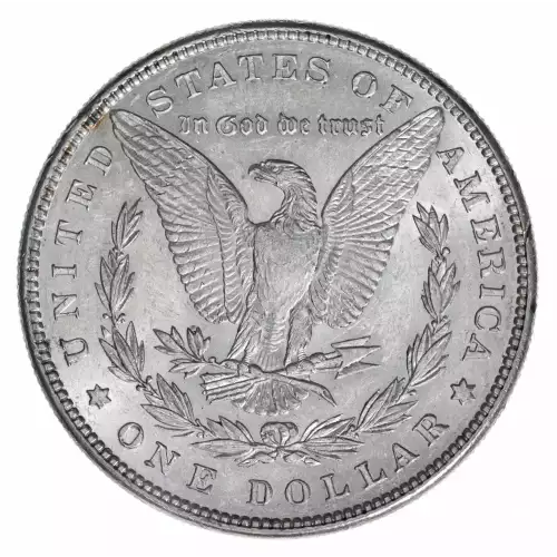 Morgan Silver Dollar (2)