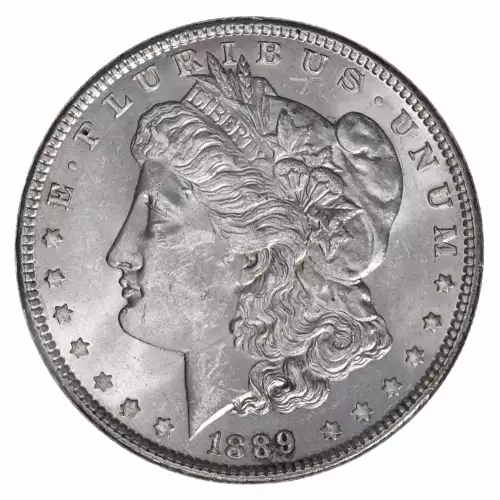 Morgan Silver Dollar