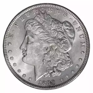 Morgan Silver Dollar