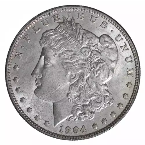 Morgan Silver Dollar (2)