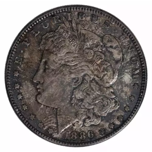 Morgan Silver Dollar