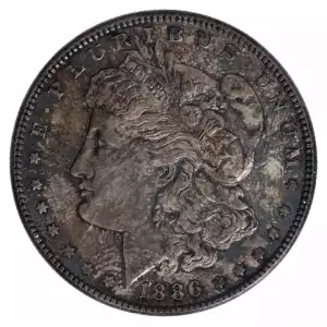 Morgan Silver Dollar