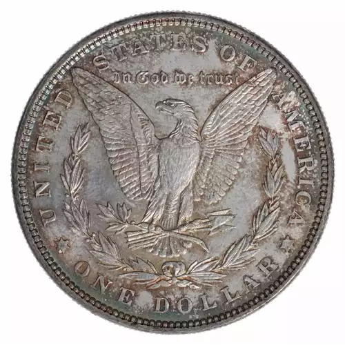 Morgan Silver Dollar (2)