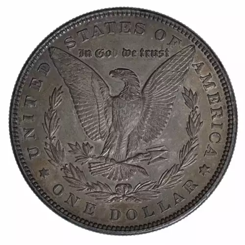 Morgan Silver Dollar (2)