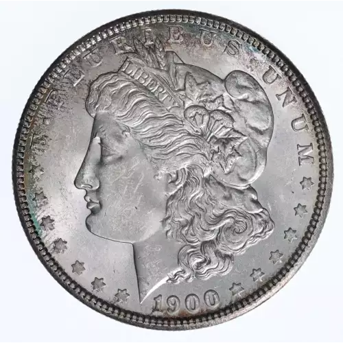 Morgan Silver Dollar