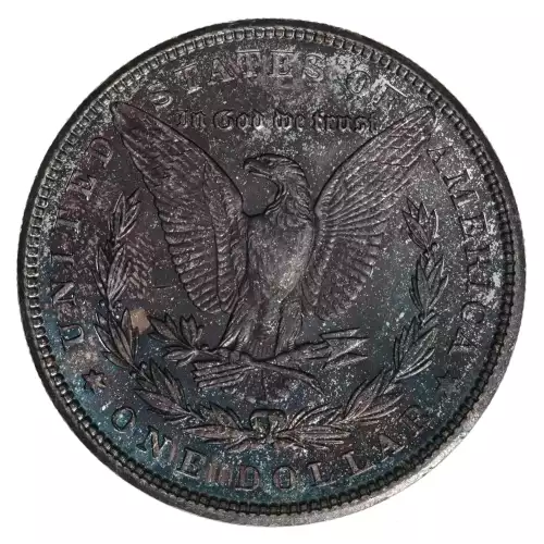 Morgan Silver Dollar (2)