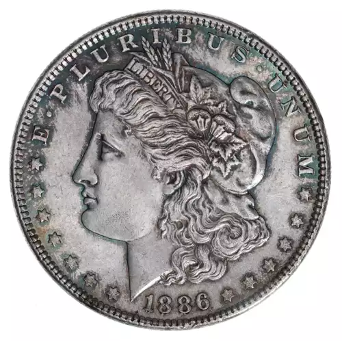 Morgan Silver Dollar