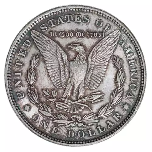 Morgan Silver Dollar (2)