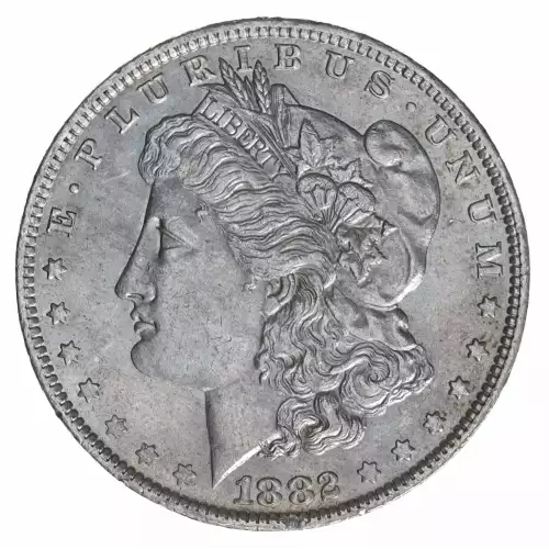 Morgan Silver Dollar (2)